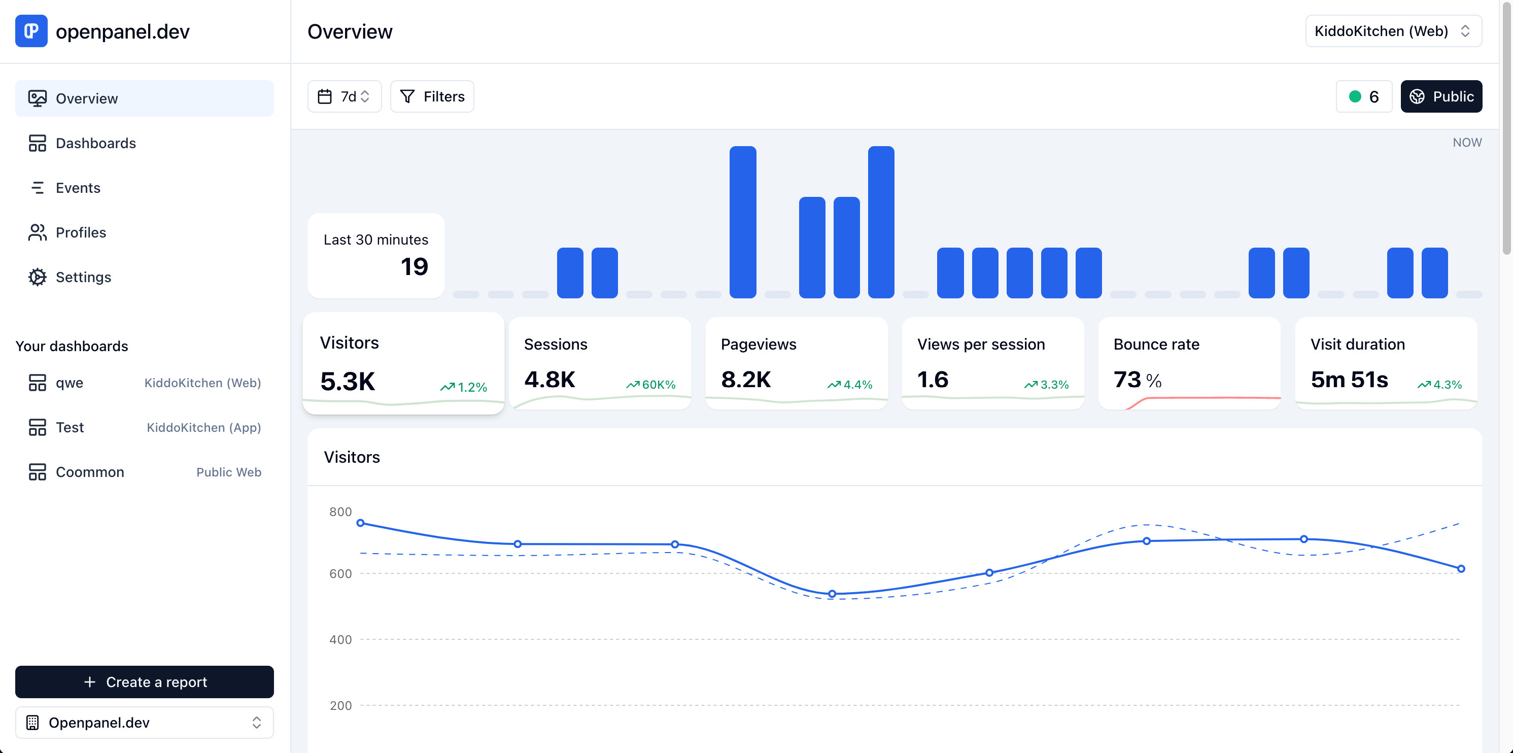 Openpanel overview page